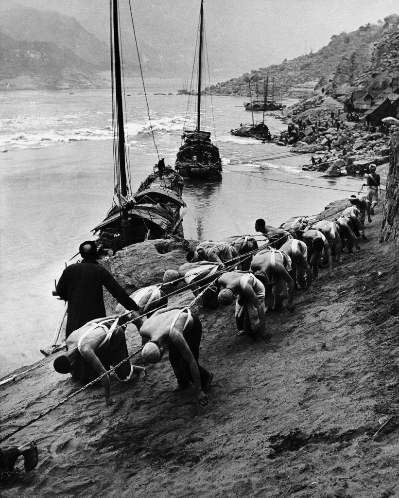 Yangtze River, Sichuan, China 2 rows of Chinese trackers, harnessed & bowed, plodding along bank of Yangtze river towing a junk (type of Chinese boat) slowly up river, being instructed by headman (L), w. other junks & people distant in bkgrd. March 1946